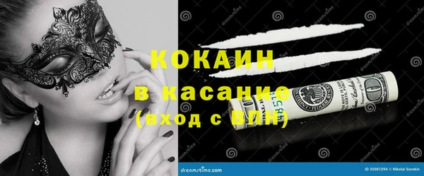 шишки Кулебаки