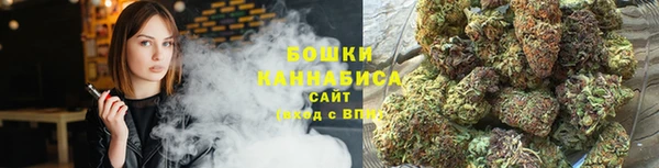 шишки Куйбышев