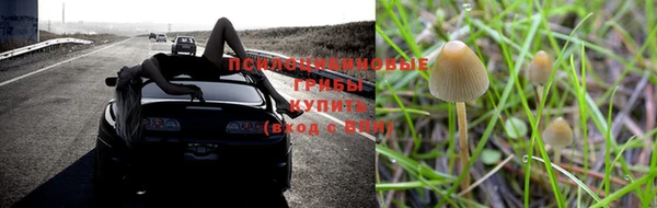 шишки Кулебаки