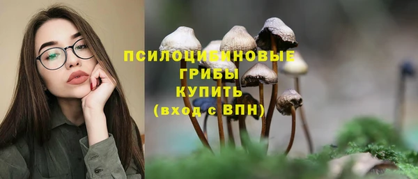 шишки Кулебаки