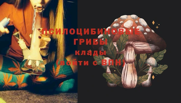 шишки Кулебаки